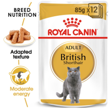 Royal Canin British Shorthair (12pack)